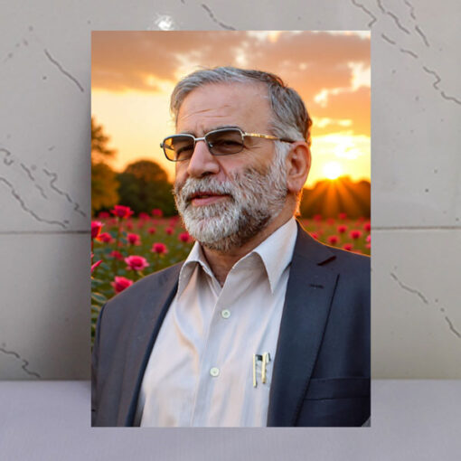قاب شاسی شهید حاج محسن فخری زاده/طرح دشت و غروب
