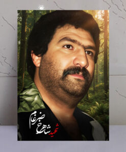 قاب شاسی شهید شاهرخ ضرغام باکیفیت عالی