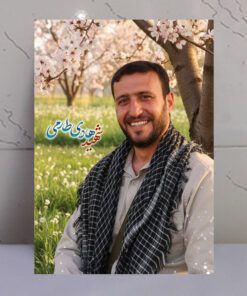 قاب شاسی شهید هادی طارمی طرح دشت و شکوفه بهاری