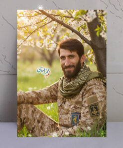 قاب شاسی شهید محمد بلباسی طرح باغ و درخت