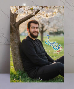 قاب شاسی شهید سید مهدی جلادتی طرح باغ و درخت