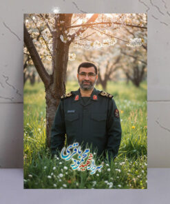 قاب شاسی سردار شهید محمود باقری طرح باغ و درخت