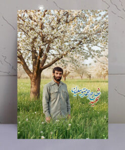 قاب شاسی شهید حاج احمد متوسلیان طرح بهاری