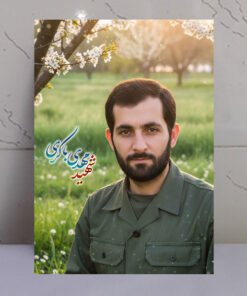 قاب شاسی شهید مهدی باکری طرح بهاری