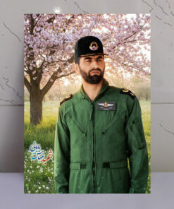 قاب شاسی شهید عباس بابایی طرح باغ و درخت