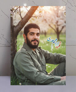 قاب شاسی شهید ابراهیم هادی طرح بهاری