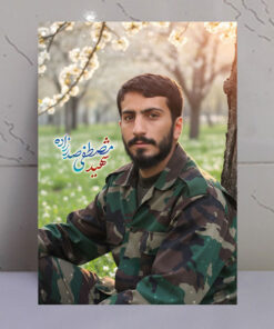 قاب شاسی شهید مصطفی صدرزاده طرح بهاری