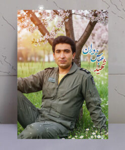 قاب شاسی شهید خلبان عباس دوران طرح بهاری