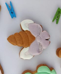 خرید پک کوکی پرنسس و قورباغه