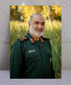 قاب شاسی شهید سردار حسین سلامی با زمینه دشت سرسبز قاب شاسی شهید سردار حسین سلامی با زمینه دشت سرسبز