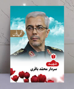 قاب شاسی شهید وطن سردار محمدباقری