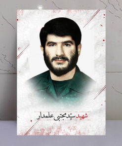 قاب شاسی پرتره عکس شهید سید مجتبی علمدار