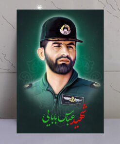 قاب شاسی خلبان شهید عباس بابایی