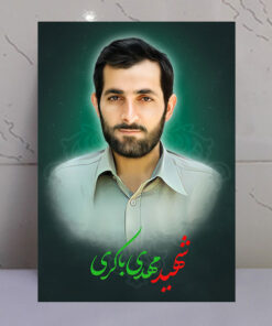 قاب شاسی فرمانده شهید مهدی باکری