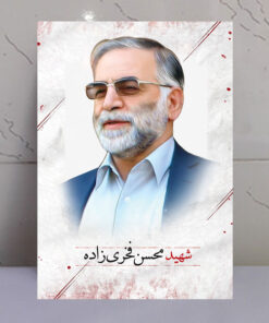 قاب شاسی پرتره عکس شهید محسن فخری زاده