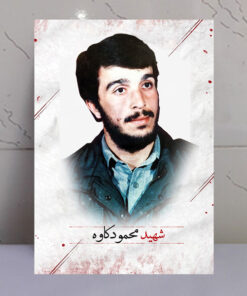قاب شاسی پرتره عکس شهید محمود کاوه