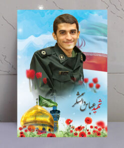 قاب شاسی مدافع حرم شهید عباس دانشگر