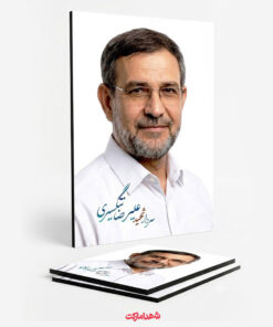 قاب شاسی سردار شهید علیرضا تنگسیری بسیار باکیفیت