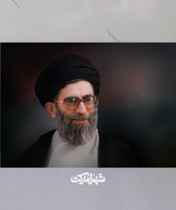 قاب شاسی پرتره زیبای رهبر شهید