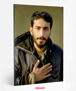قاب شاسی شهید صدرزاده