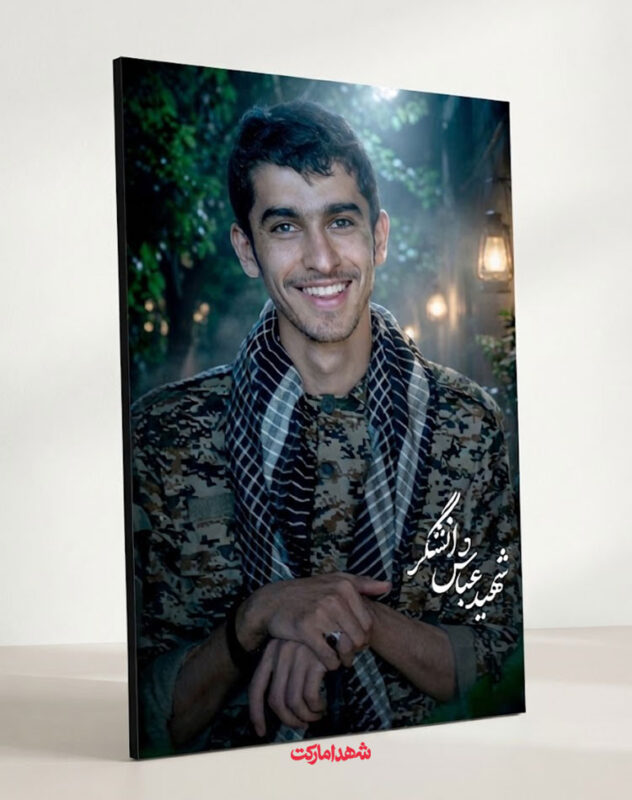 قاب شاسی شهید عباس دانشگر مدافع حرم
